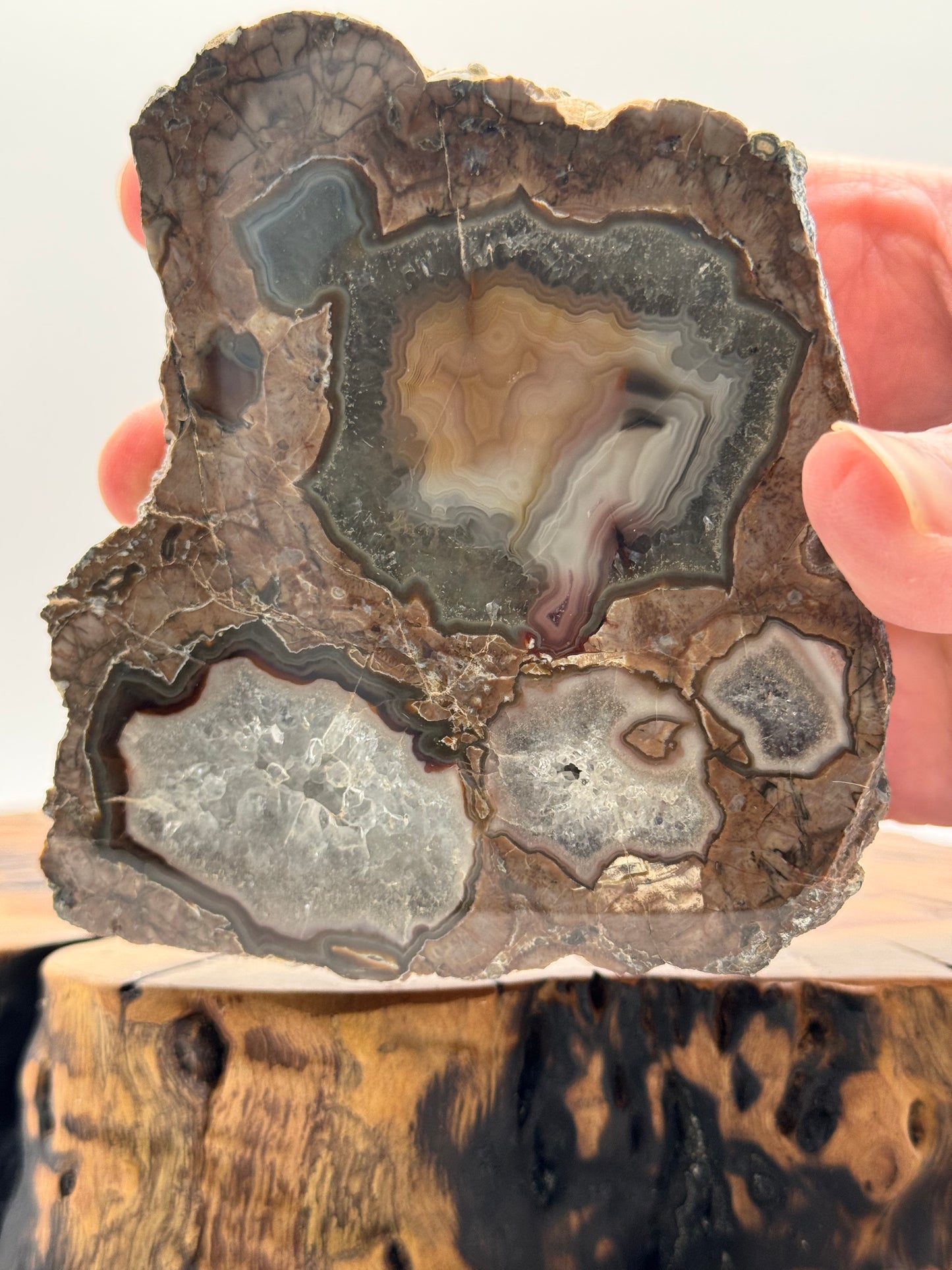 New Mexico Agate