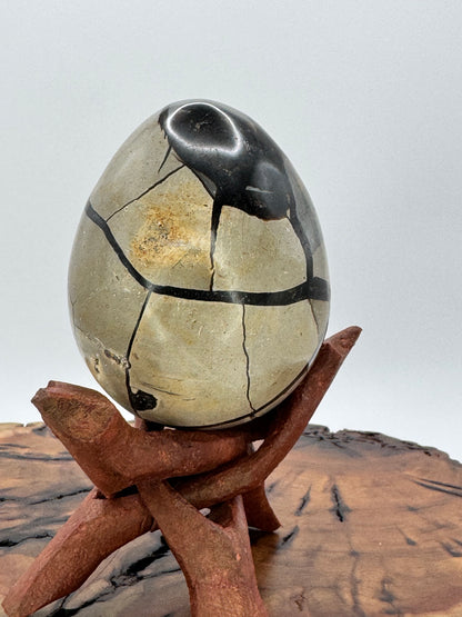 Septarian Dragon Egg