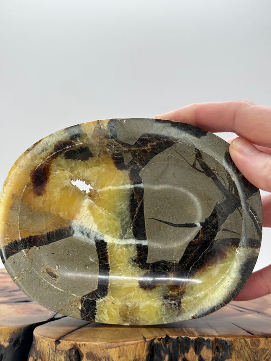 Septarian Bowl