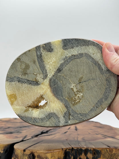 Septarian Bowl