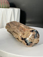 Eden Valley Petrified Wood Full Round