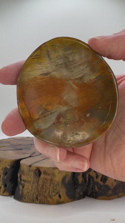 Small Petrified Wood Bowl